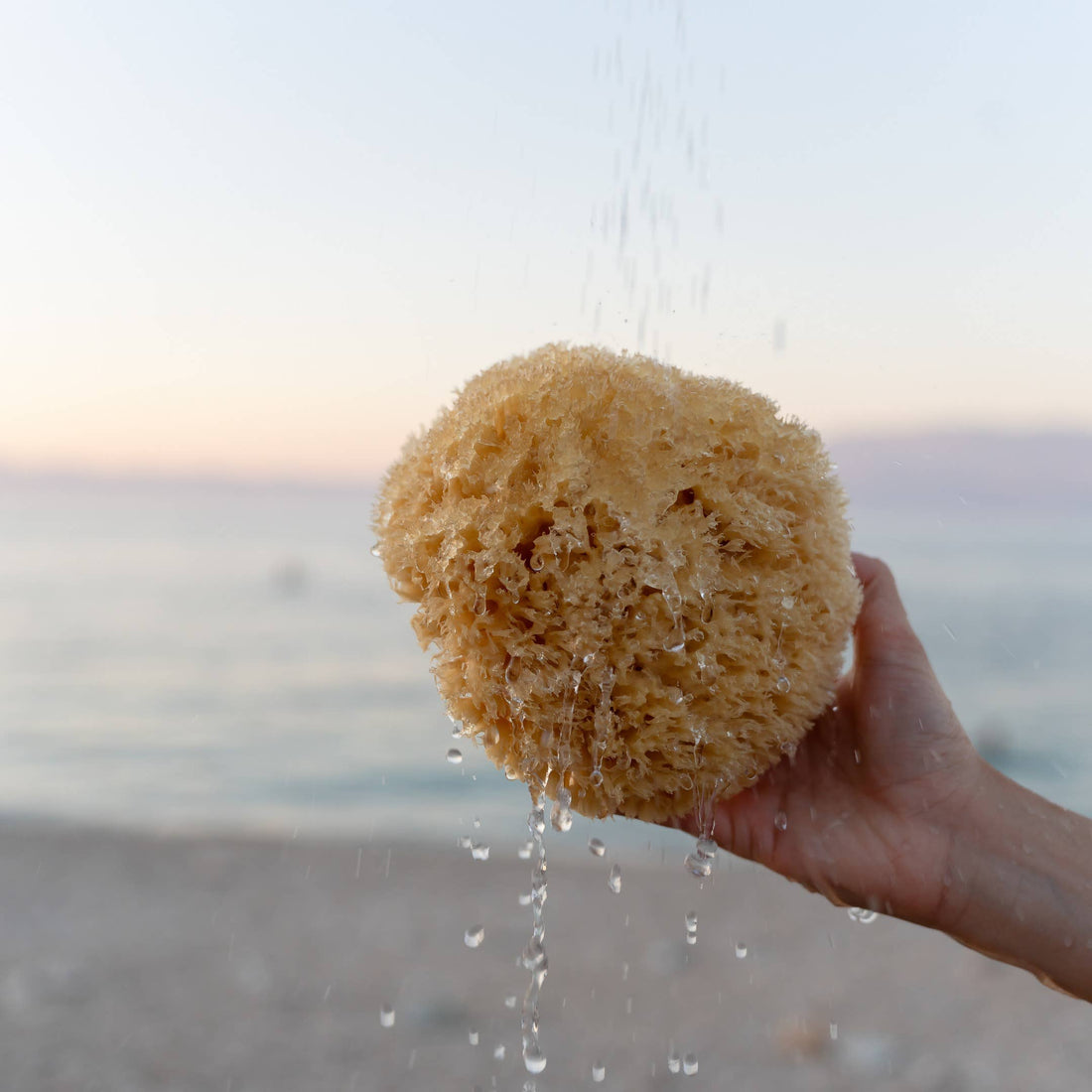 Naturschwamm aus dem Meer (Medium)